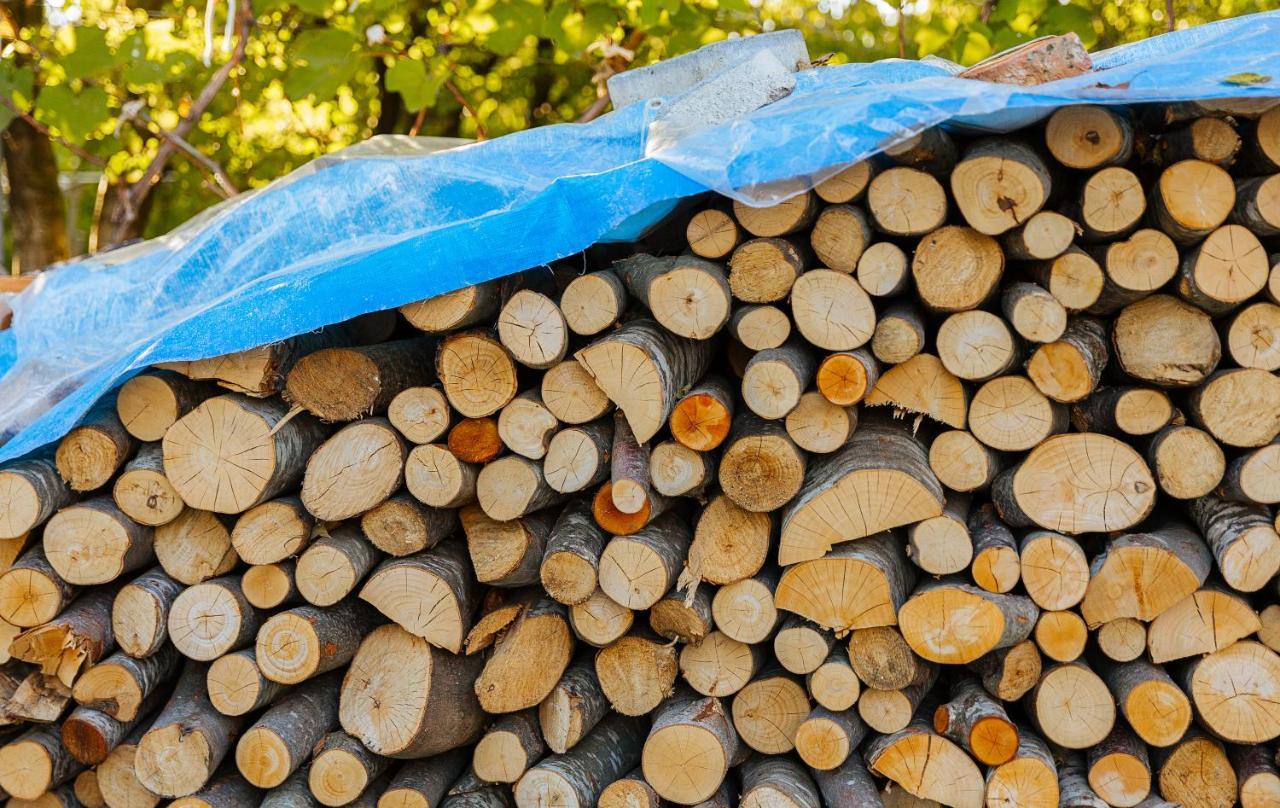 Vila 1 Korce Ngoại thất bức ảnh